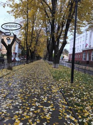 Прикрепленное изображение: 12345.JPG